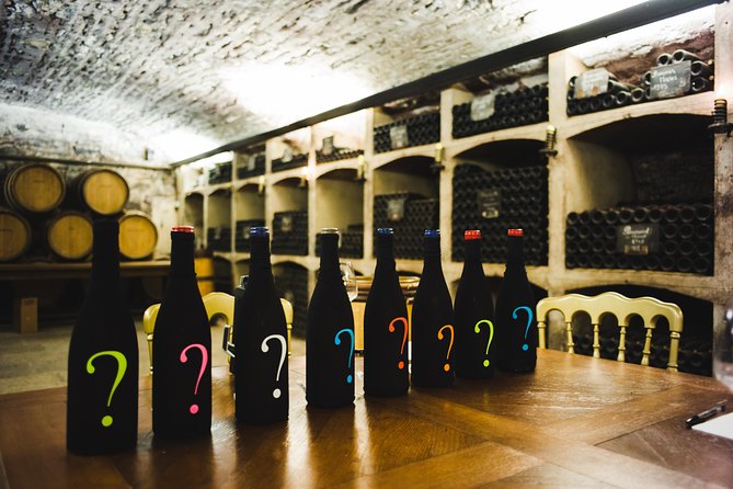 Luxury Luxury Wine Tour Experience - Who will get the most from this Burgundy day