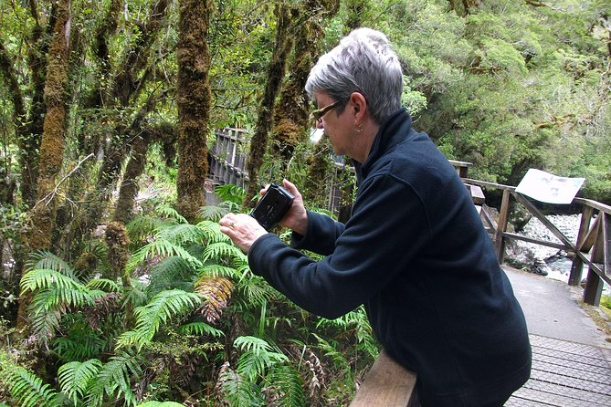 Luxury Milford Sound Coach and Scenic Cruise - Eglinton Valley shows why the drive is worth doing