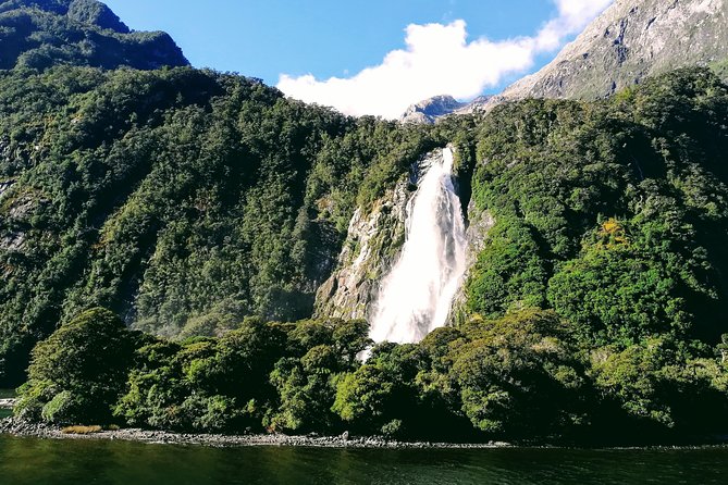 Luxury Milford Sound Coach and Scenic Cruise - Mirror Lakes rewards calm weather