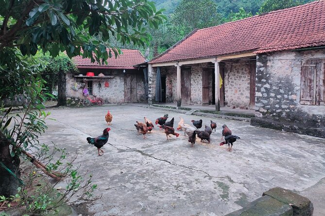 Luxury Ninh Binh Full Day Tour From Hanoi (Trang An - Hoa Lu) - A three-generation family home