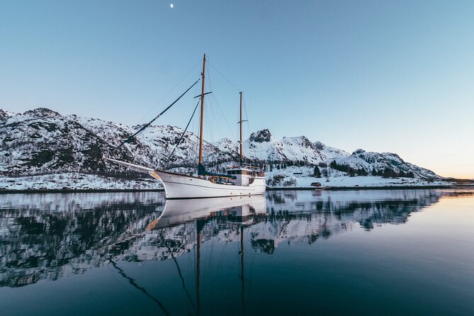 Luxury Northern Lights Yacht Cruise with Hot Tub from Tromsø - Reindeer soup and a warm cabin