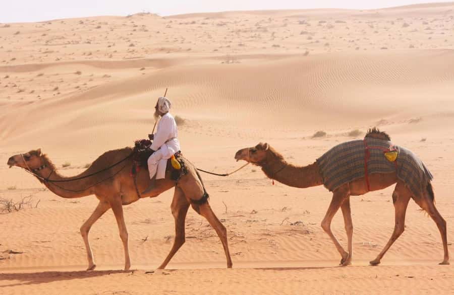 Luxury Overnight Desert Safari in Salalah - Three or four rounds of dune bashing