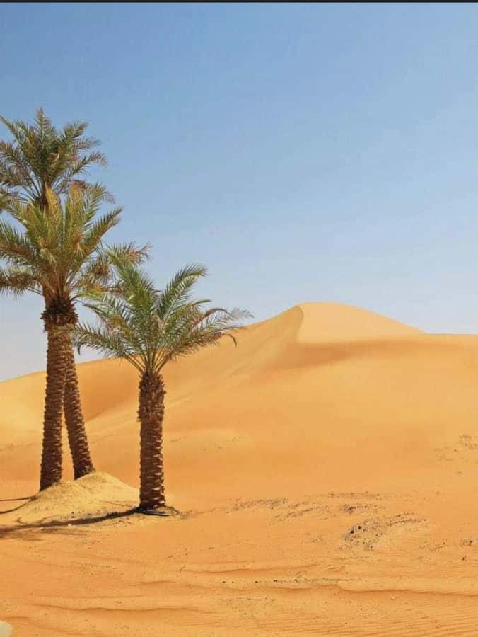 Luxury Overnight Desert Safari in Salalah - Sunrise is worth the early start