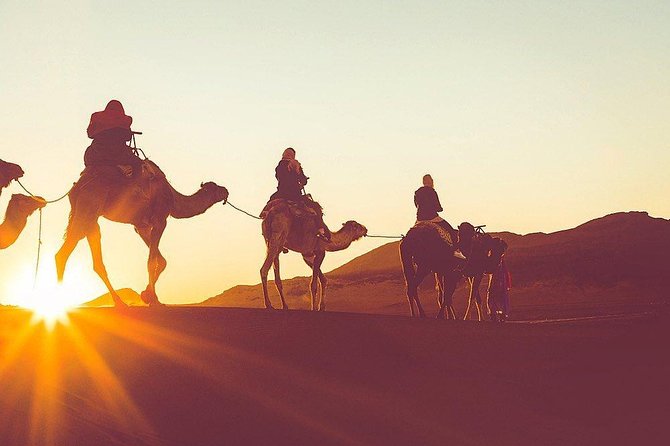 Luxury Overnight Sahara Desert trip fez Back to Fez or Marrakech - Sunset by camel: the moment that makes the long drive worthwhile