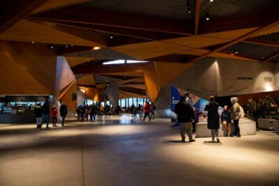 Luxury Phillip Island Tour for Families & Explorers 10 Max
