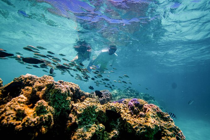 LUXURY PRIVATE Catamaran Bora Bora : Half-Day Trip - Paradise Bay and the floating bar