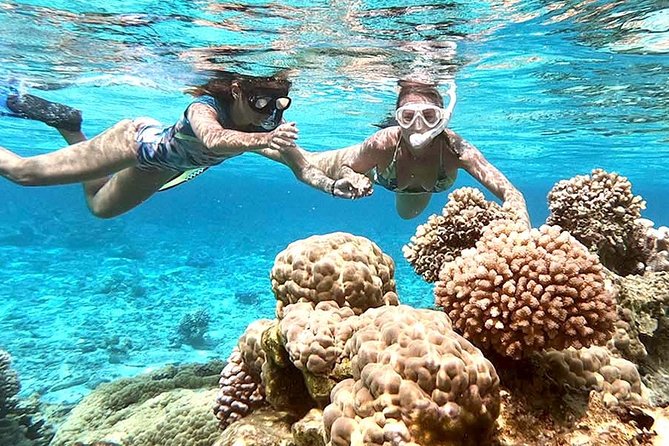 LUXURY PRIVATE Catamaran : Full-Day Sail & Polynesian Motu Lunch - What the $2,730.51 price really covers