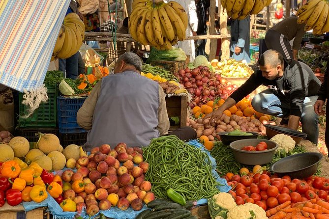 Luxury private day trip - Atlas Mountains, Agafay Desert & camels - Key points at a glance
