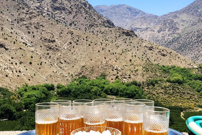 Luxury private day trip - Atlas Mountains, Agafay Desert & camels - Tuesday and Saturday market option
