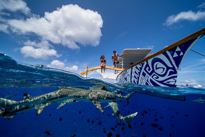 Luxury Private full day tour & Motu lunch in Bora-Bora - A motu lunch with your feet in the water