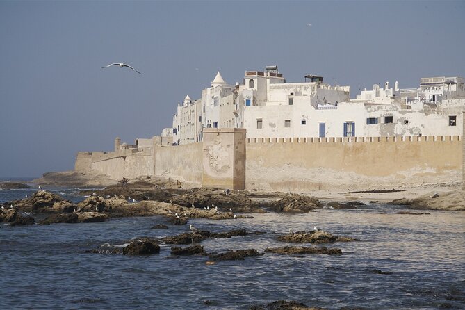 Luxury Private Full Day Trip To Essaouira - Why Essaouira Works as a Day Trip from Marrakech
