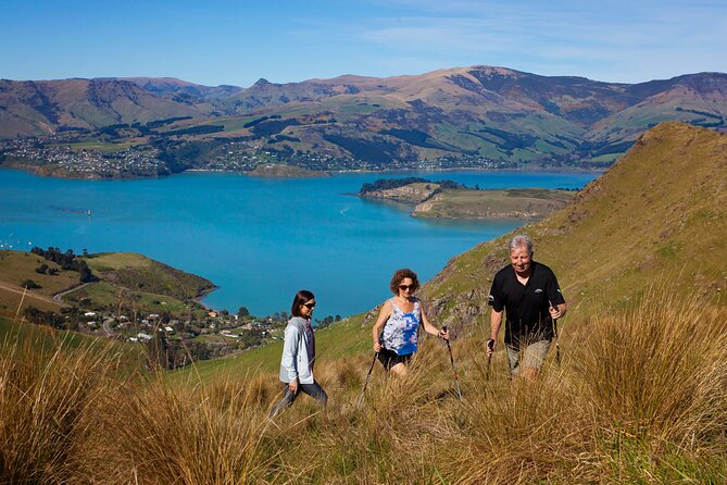 Luxury Private Guided Crater Rim Walk on Banks Peninsula - From Christchurch to Sumner Beach in 30 minutes
