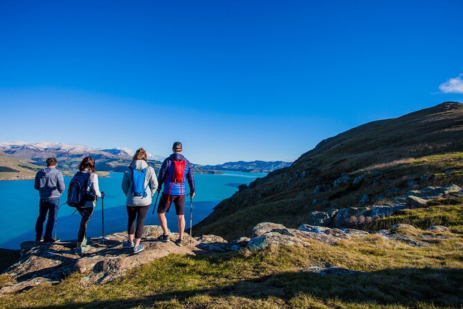 Luxury Private Guided Crater Rim Walk on Banks Peninsula - Taylors Mistake sets the tone for the walk
