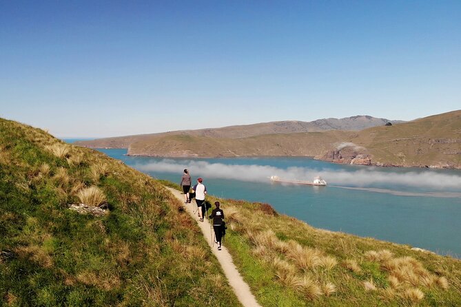 Luxury Private Guided Crater Rim Walk on Banks Peninsula - What the private SUV adds to the day