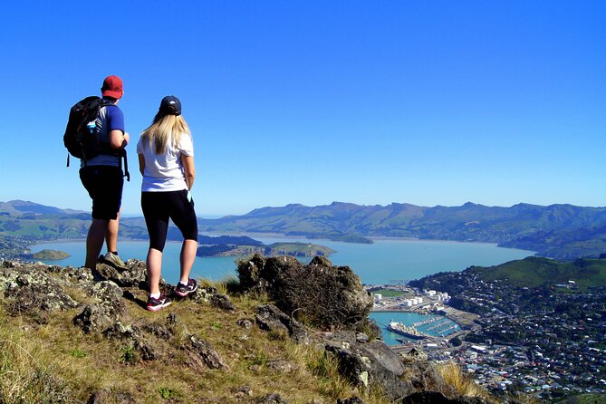 Luxury Private Guided Crater Rim Walk on Banks Peninsula - Weather controls the quality of the views