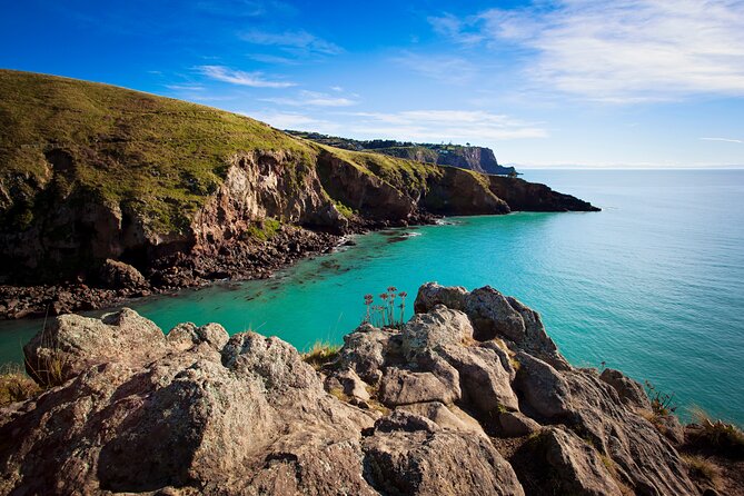 Luxury Private Guided Crater Rim Walk on Banks Peninsula - Who will get the most from this outing