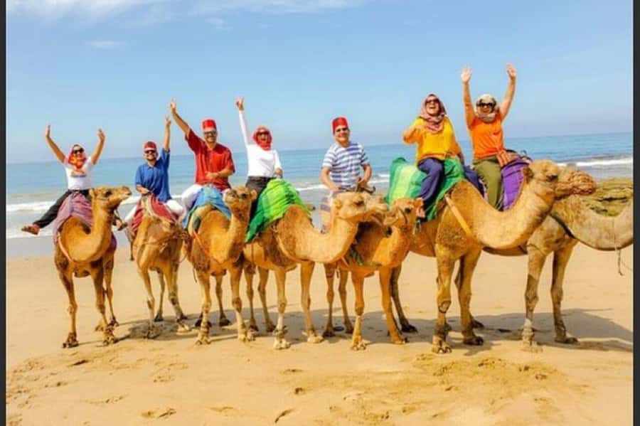 Luxury Private Tangier Tour from Marbella all inclusive - From Marbella to the Strait of Gibraltar