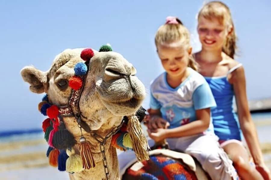 Luxury Private Tangier Tour from Marbella all inclusive - Timing, comfort, and practical details