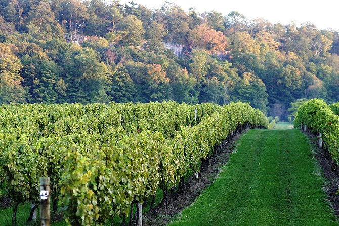 Luxury Private Tour of Niagara Falls from Toronto - Timing, comfort, and the guide’s role