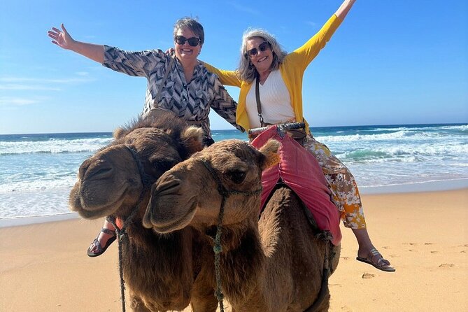 Luxury Private Tour of Tangier from Marbella All Inclusive - Three hours for Moroccan food, crafts, and the Medina