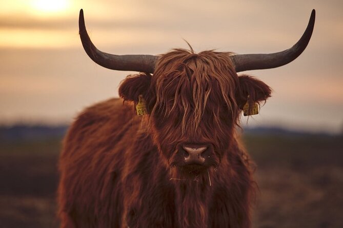 Luxury Private Tour of The Highlands & Loch Ness from Edinburgh - Doune Castle: film fame with real medieval bones
