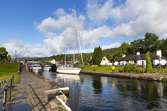 Luxury Private Tour of The Highlands & Loch Ness from Edinburgh - Kilmahog and the Highland cows