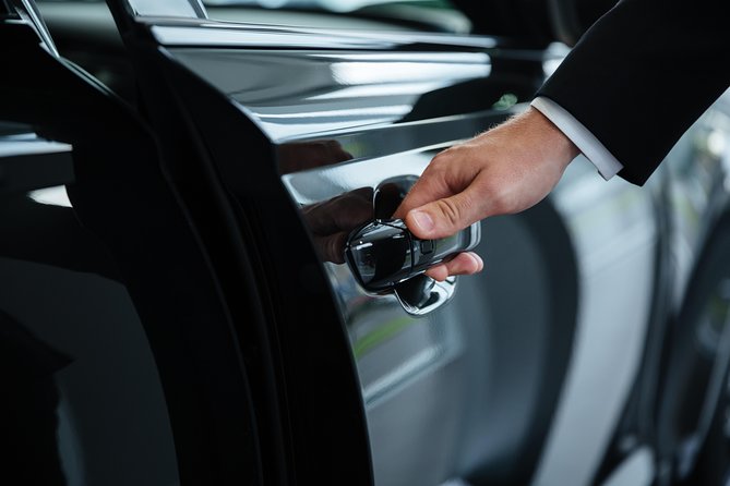 Luxury private transfer: Dubrovnik airport to Dubrovnik - Who should book this transfer