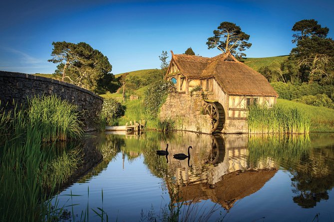 Luxury Private Transfers: Auckland Airport to City - The service style from Roger and the team