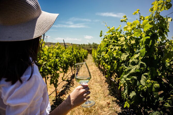 LUXURY PRIVATE Wine Tasting in CRETE (also for CRUISE SHIPS) - A four-hour introduction to Crete’s wine country