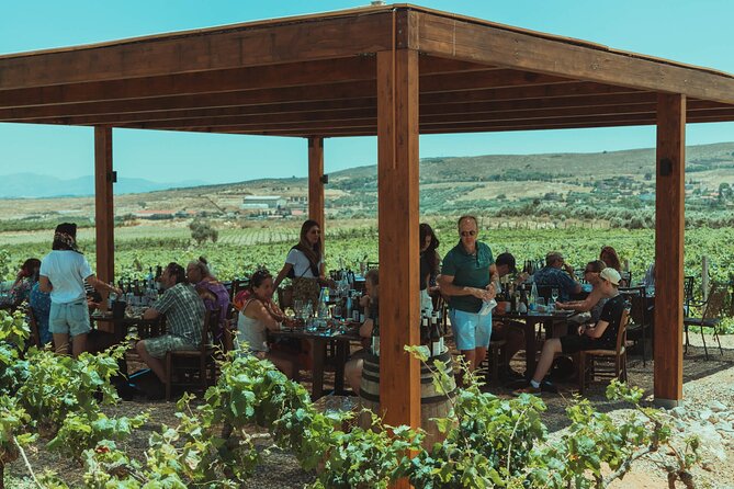LUXURY PRIVATE Wine Tasting in CRETE (also for CRUISE SHIPS) - Pickup around Hersonissos and the cruise-ship question