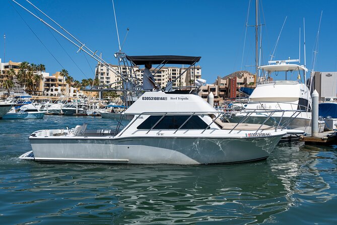 Luxury Private Yacht Charter in Cabo San Lucas Mexico - Sea lions and Scobby-Doo Rock