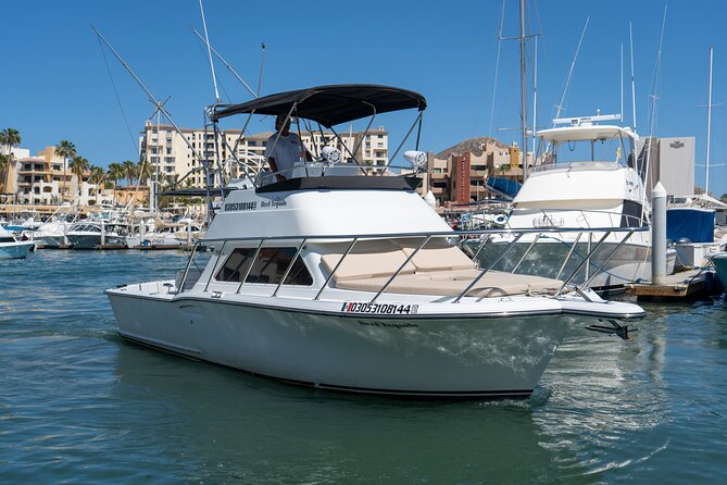 Luxury Private Yacht Charter in Cabo San Lucas Mexico - Is $400 a good value?