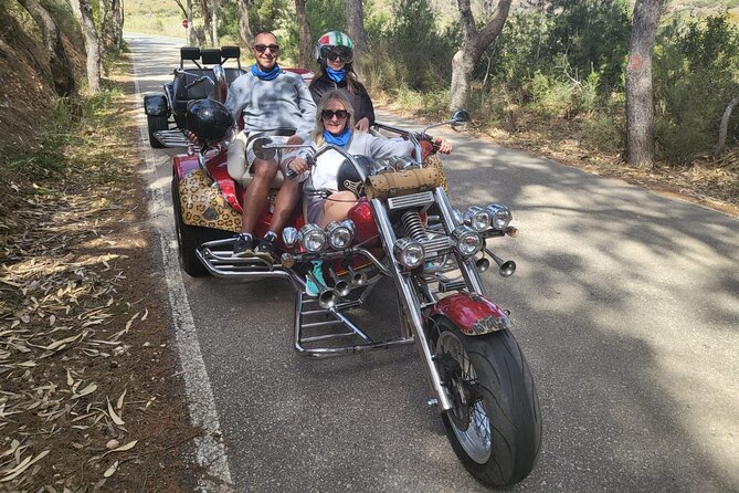 Luxury Rewaco Trike "The Rock Out Rocker Tour" - (4 hours, Min 2 Passengers) - What the private format is worth at $196.59