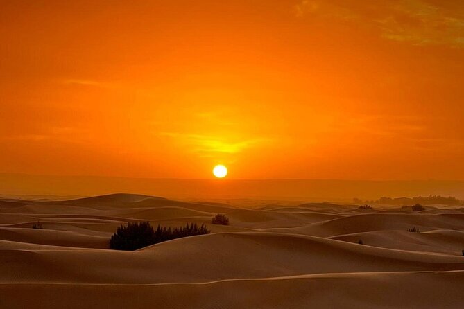 Luxury Sahara Desert From Fez back to fez or marrakech overnight - Does the $125.62 price offer good value?