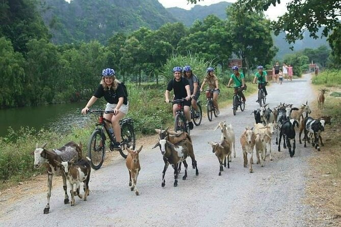 Luxury small Group Hoa Lu - Tam Coc - Mua Cave Max 6 - 8 pax/tour - Mua Cave and the 500-step viewpoint