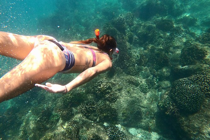 Luxury Snorkel Adventure in Cabo - Why this Cabo cruise feels more personal