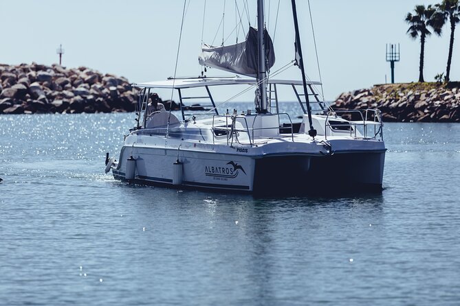 Luxury Snorkel Adventure in Cabo - What the $149 price really covers