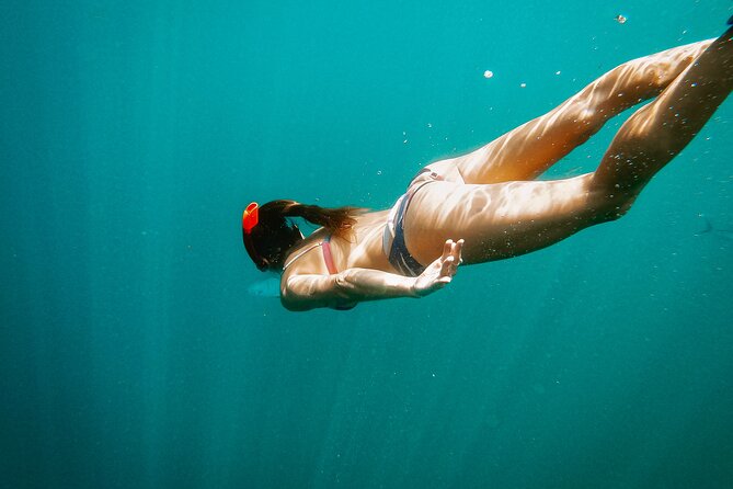 Luxury Snorkel Adventure in Cabo - Leaving the marina for El Arco