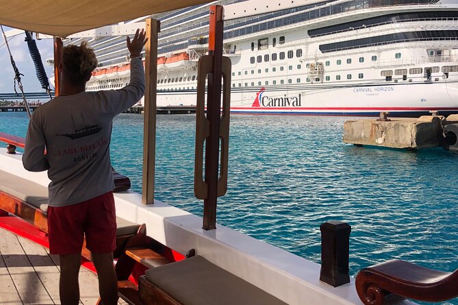 Luxury snorkel trip on a spacious wooden schooner and local lunch - The rope swing and the lively ride home