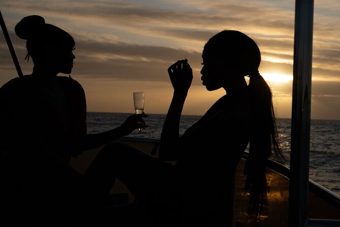 Luxury Sunset Cruise with Prosecco - The 90-minute route across Table Bay