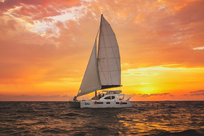 Luxury Sunset Sailing Cruise in Cancun with Light Dinner and Open Bar - A Light Dinner, Not a Full Evening Meal
