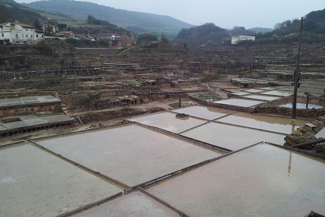Luxury Tour By Alava (Vitoria-Gasteiz and Salinas De Añana) - Food, timing, and the best way to plan the day
