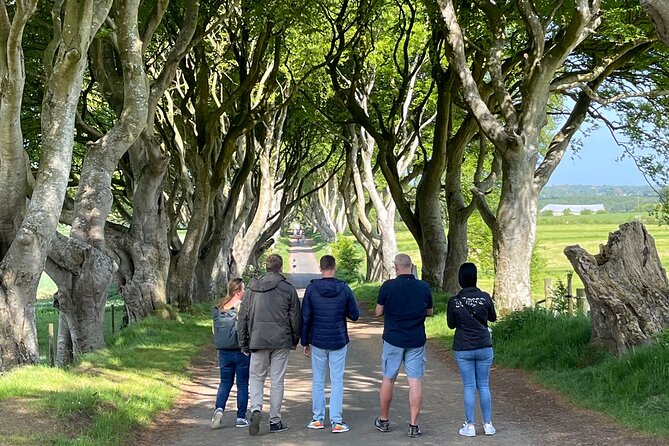 Luxury Tour of Giants Causeway from Belfast - Why this private Belfast tour works
