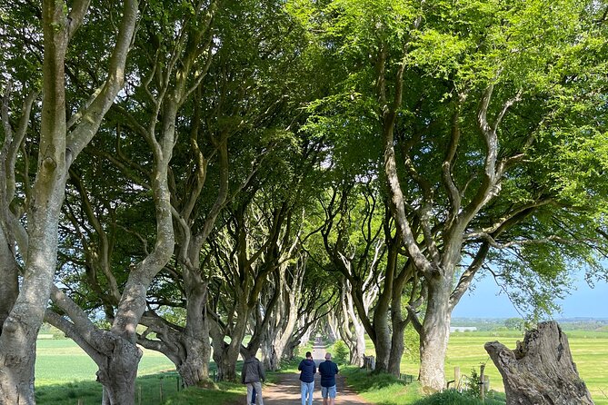 Luxury Tour of Giants Causeway from Belfast - Giant’s Causeway, the day’s main event