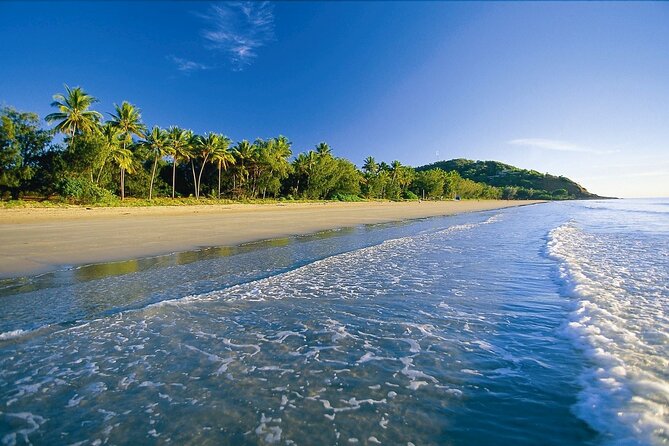 Luxury Van, Private Transfer, Cairns Airport - Port Douglas. - Is $275.42 a good value for up to five?