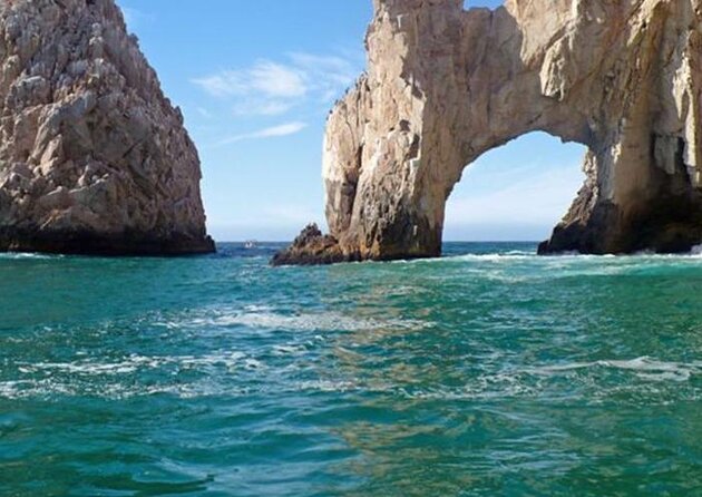 Luxury Whale Watch Cruise to The Arch Los Cabos - Key points to know before booking