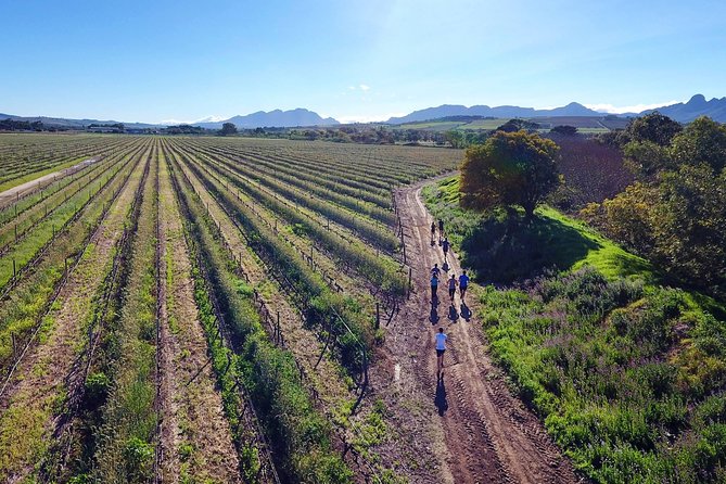 Luxury Wine Tour with Lunch - Cheetah Outreach adds a different kind of meaning