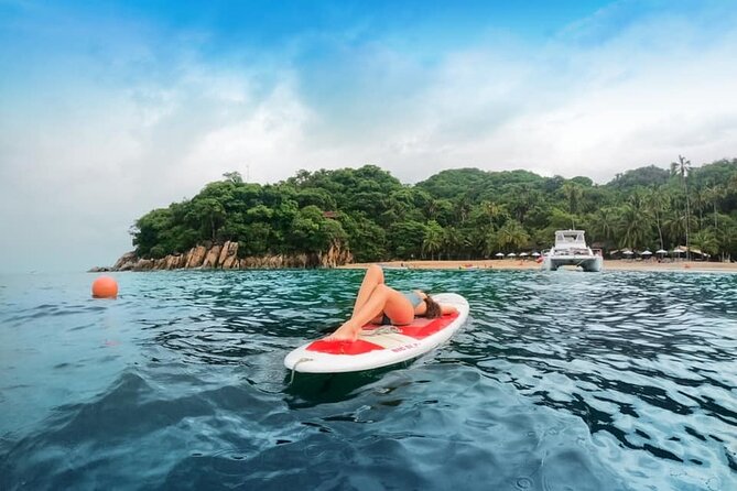Luxury Yacht & Snorkel with All inclusive Open bar and lunch - Snorkeling, paddleboards, and possible wildlife