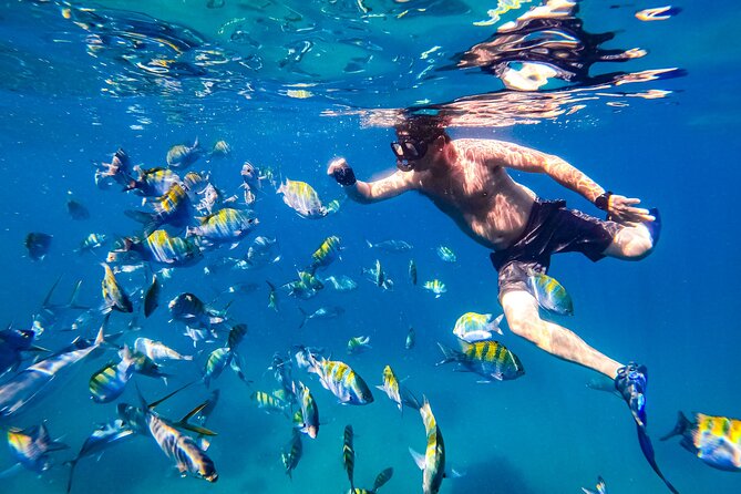 Luxury Yacht & Snorkel with All inclusive Open bar and lunch - Who will enjoy this yacht trip most?