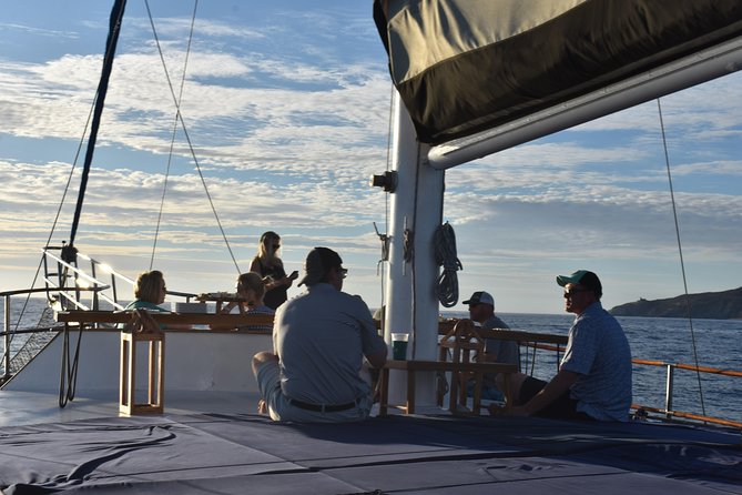 Luxury Yacht Snorkeling & Lunch Cruise from Cabo San Lucas - The value of a $199 half-day
